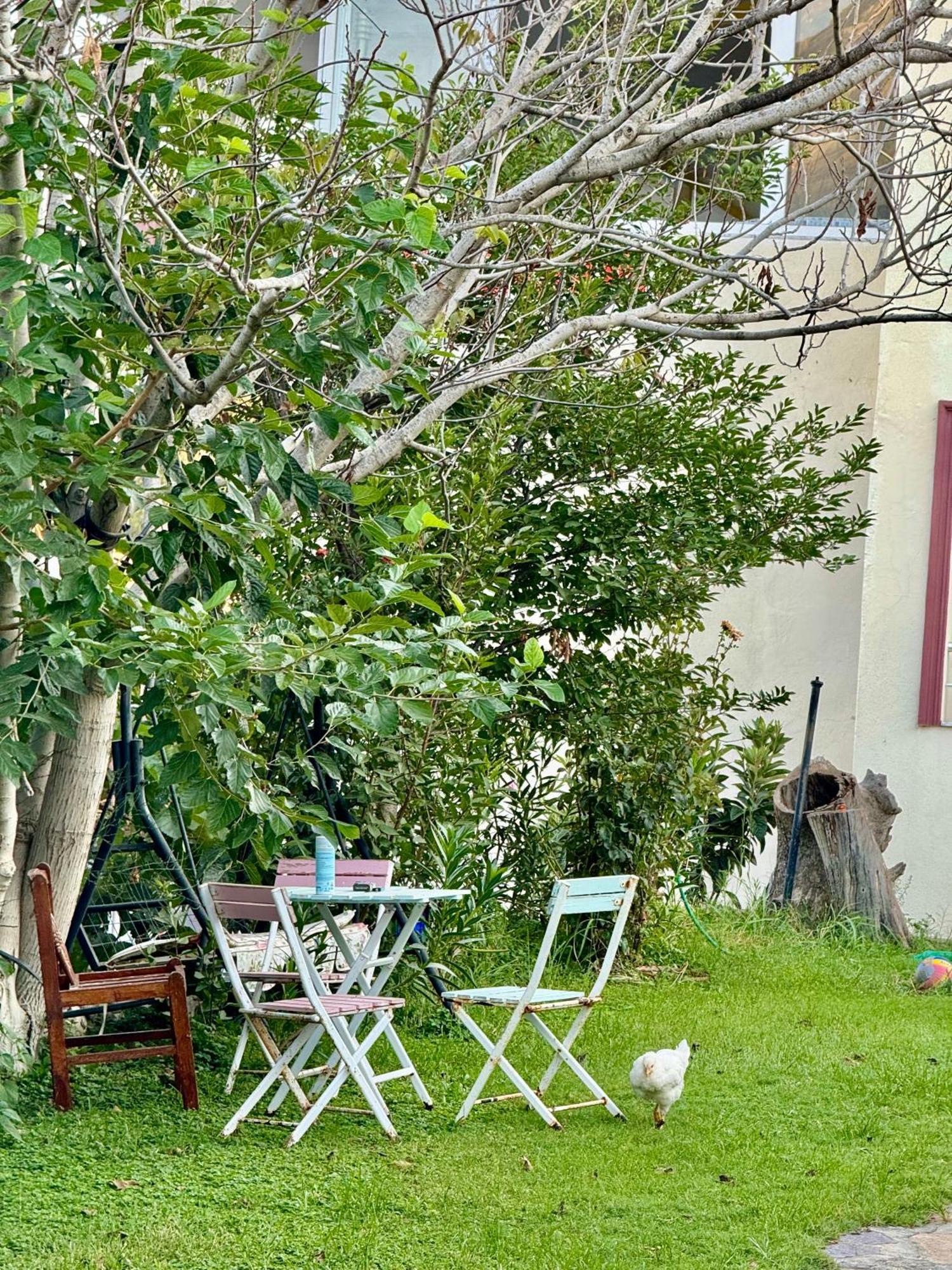 Rose Hotel B&B パタラ エクステリア 写真
