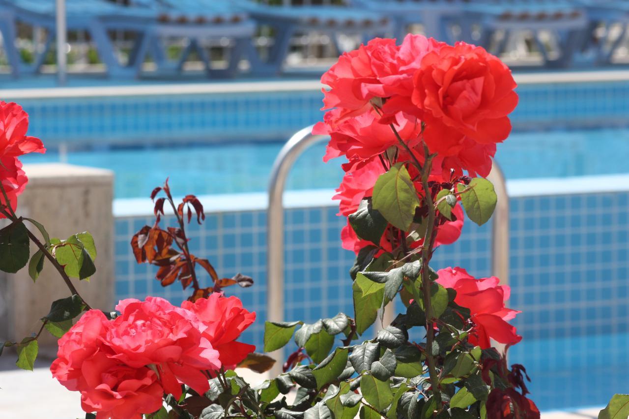 Rose Hotel B&B パタラ エクステリア 写真