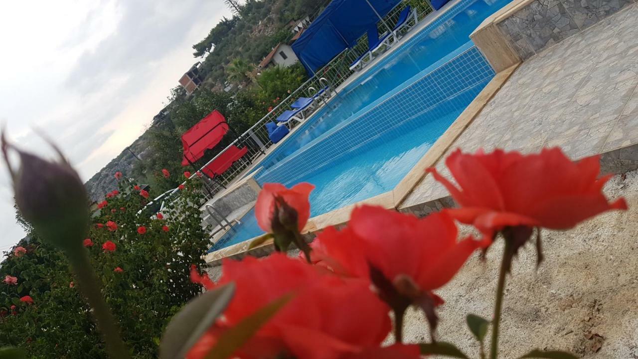 Rose Hotel B&B パタラ エクステリア 写真
